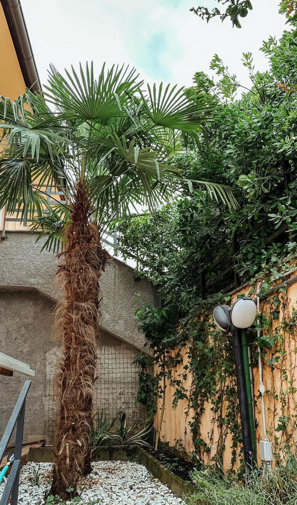 Apartmani Jelena Opatija Luaran gambar